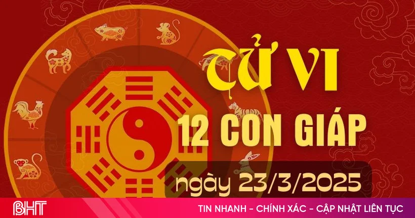 Tử vi ngày 23/3/2025: Quý nhân xuất hiện, tài vận hanh thông